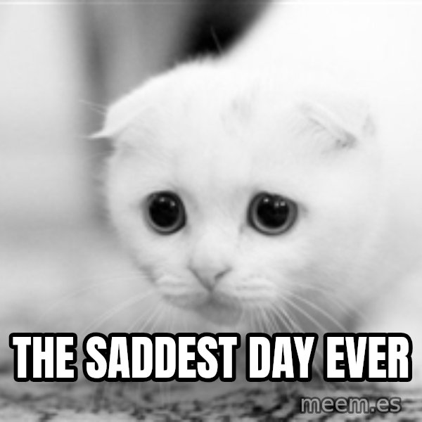 Sadcat meme: The Saddest Day ever