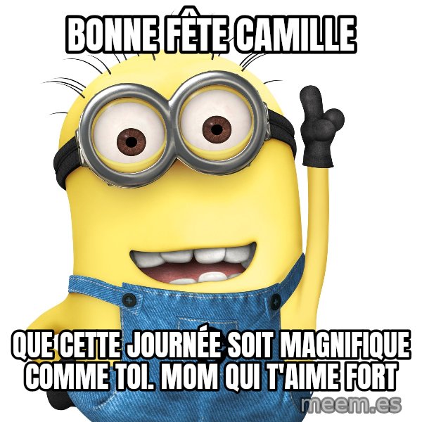Despicable Me Minion meme: Bonne fête Camille / Que cette journée soit magnifique comme toi. Mom qui t'aime fort