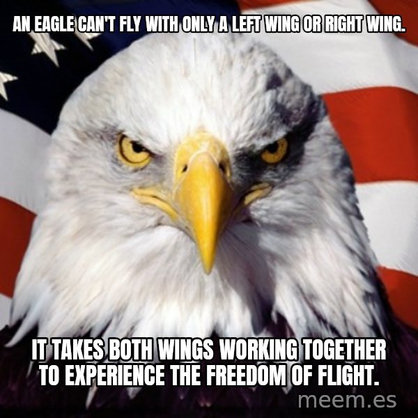 Freedom Eagle  meme: An eagle can't fly with only a left wing or right wing. / It takes both wings working together to experience the FREEDOM of flight.