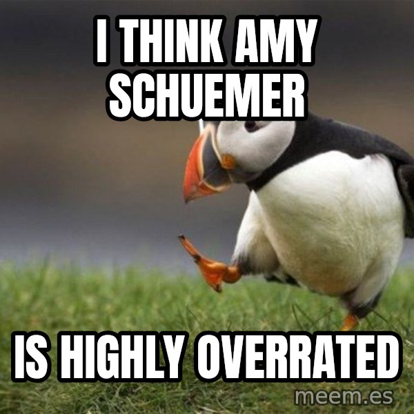 Unpopular Opinion Puffin meme: I think Amy Schuemer / Is HIGHLY overrated