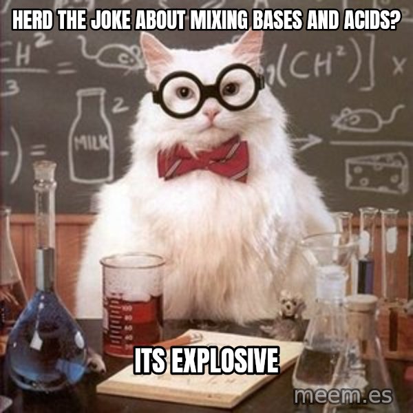 Chemistry Cat meme: Herd the joke about mixing bases and acids? / Its explosive
