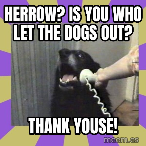 Yes, this is dog! meme: Herrow? Is you who let the dogs out? / Thank youse!