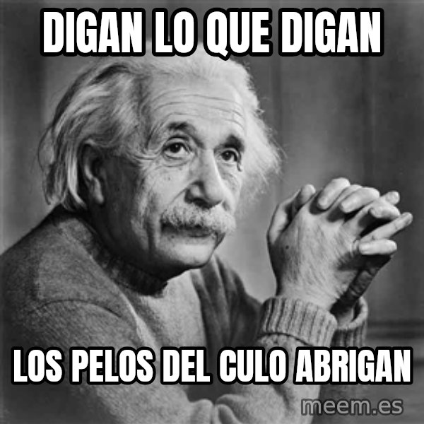 Albert Einstein meme: Digan lo que digan / los pelos del culo abrigan