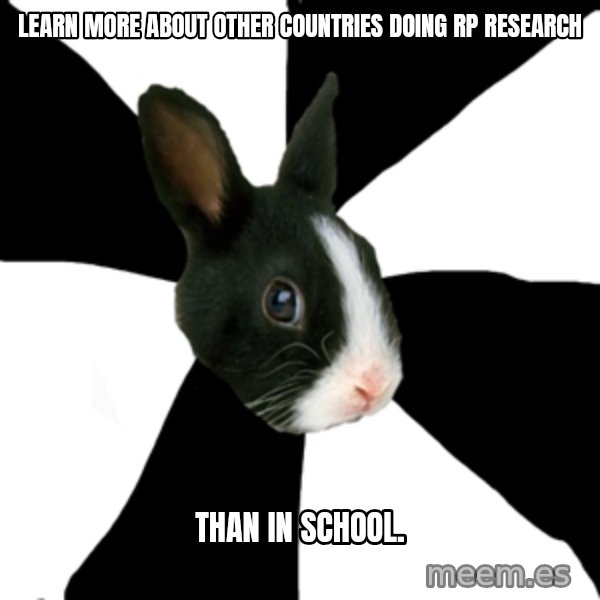 Roleplaying Rabbit meme: Learn more about other countries doing rp research / than in school.