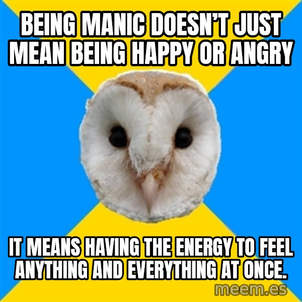 Bipolar Owl meme: Being manic doesn’t just mean being happy or angry / It means having the energy to feel anything and everything at once.