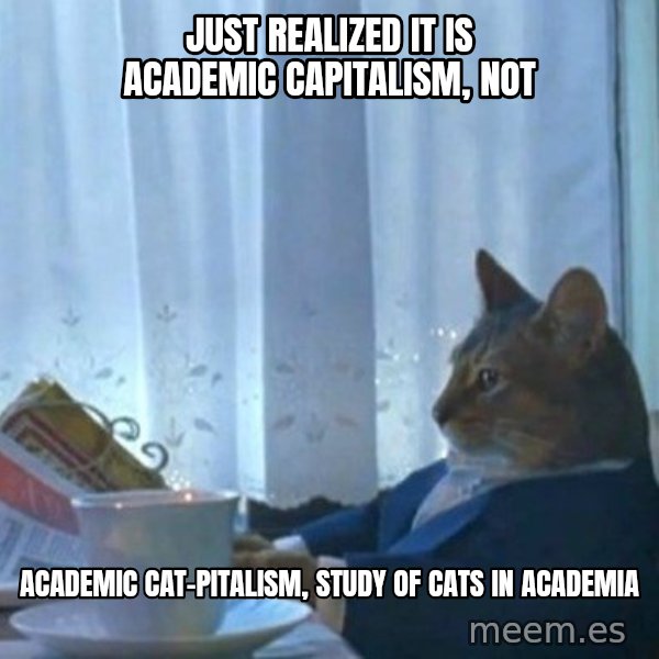 newspaper cat realization meme: Just realized it is Academic Capitalism, Not / Academic Cat-pitalism, study of Cats in Academia
