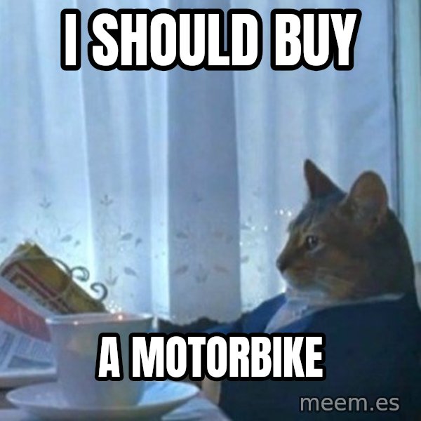 newspaper cat realization meme: I should buy / a motorbike
