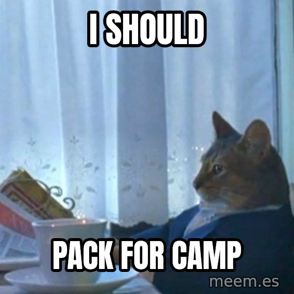 newspaper cat realization meme: I should / pack for camp