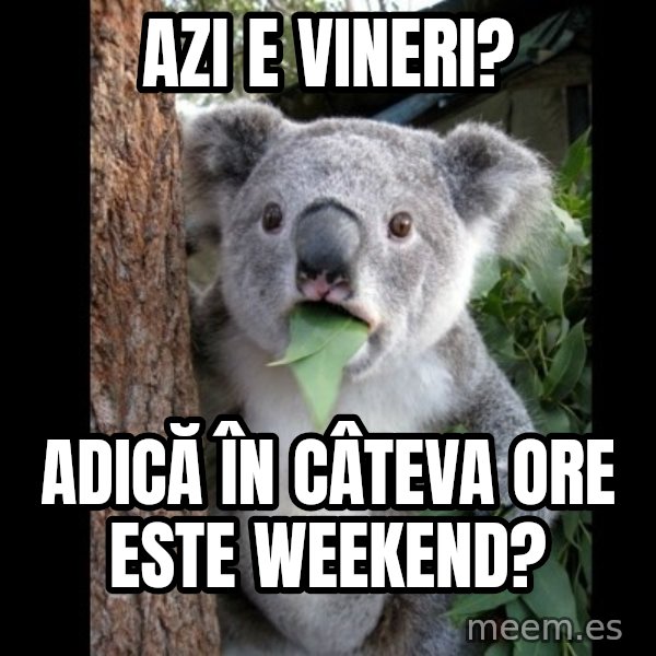 Koala can't believe it meme: Azi e vineri? / adică în câteva ore este weekend?
