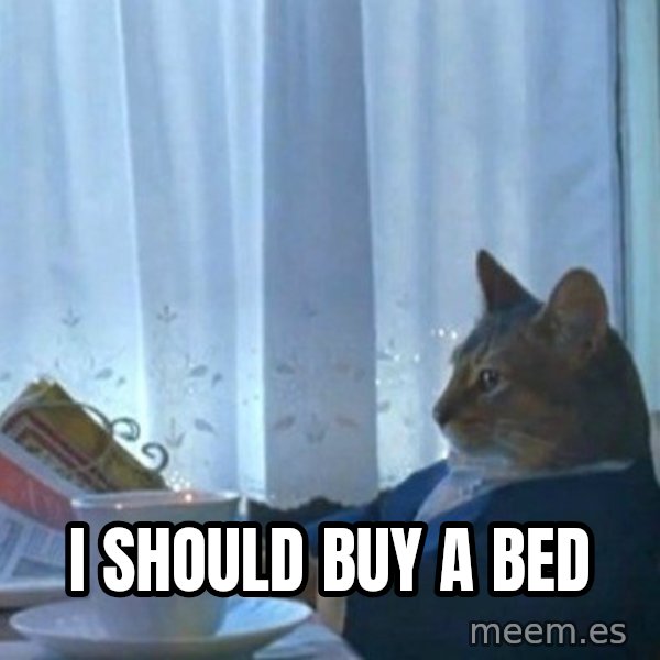 newspaper cat realization meme: I should buy a bed