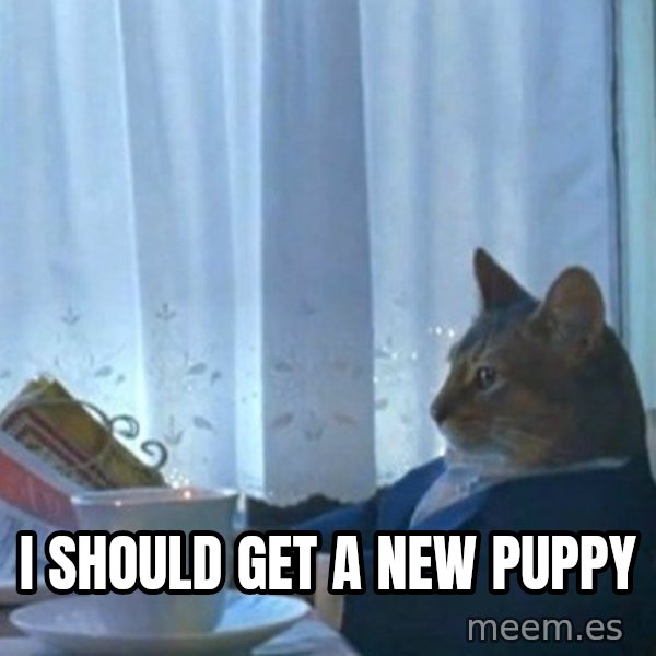 newspaper cat realization meme: i should get a new puppy