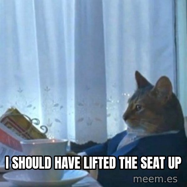 newspaper cat realization meme: I should have lifted the seat up
