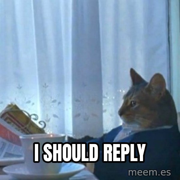 newspaper cat realization meme: i should reply
