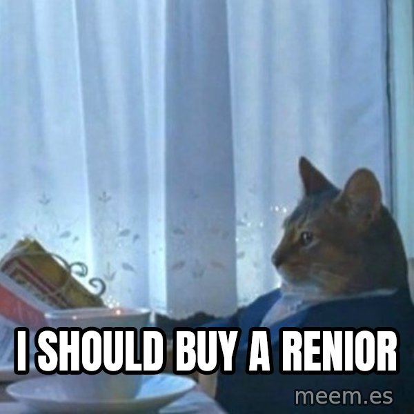 newspaper cat realization meme: I should buy a renior