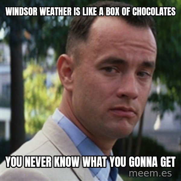 forrest gump meme: Windsor weather is like a box of chocolates / You never know what you gonna get
