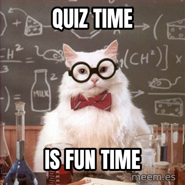 Science Cat meme: quiz time / is fun time