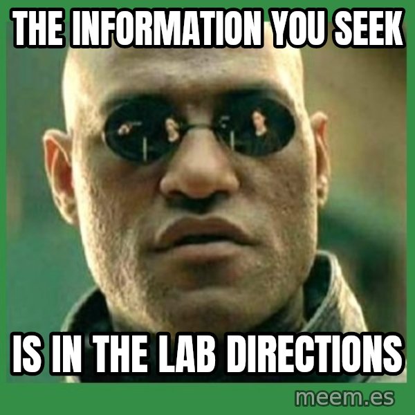 Matrix Morpheus meme: The information you seek / is in the lab directions