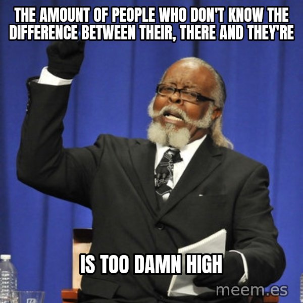 Rent Is Too Damn High meme: the amount of people who don't know the difference between their, there and they're / is too damn high