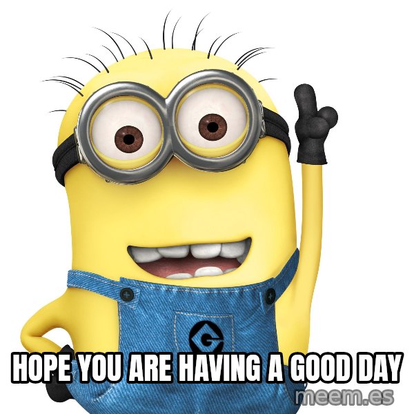 Despicable Me Minion meme: Hope you are having a good day