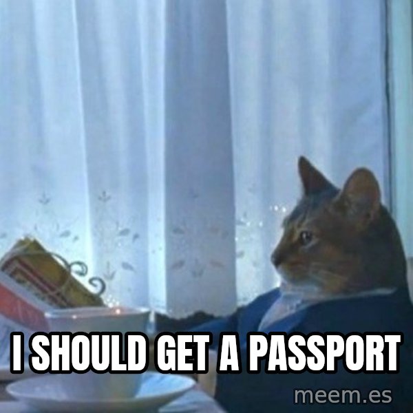 newspaper cat realization meme: I should get a passport