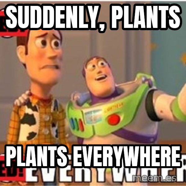 X, X Everywhere  meme: Suddenly, plants / plants everywhere