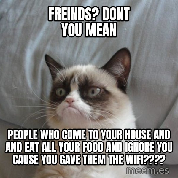 Grumpy cat good meme: freinds? dont you mean / people who come to your house and  and eat all your food and ignore you cause you gave them the wifi????