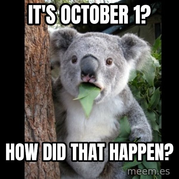 Koala can't believe it meme: it's october 1? / how did that happen?