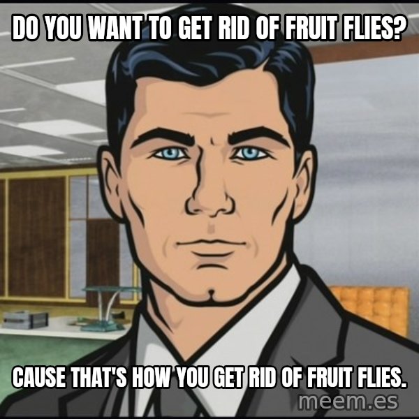 Archer meme: Do you want to get rid of fruit flies? / Cause that's how you get rid of fruit flies.