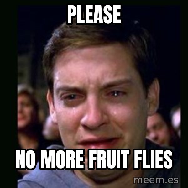 crying peter parker meme: Please / No more fruit flies