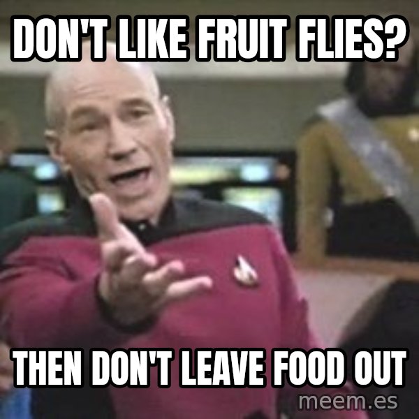 Captain Picard meme: Don't like fruit flies? / Then don't leave food out