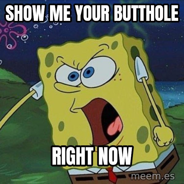 Spongebob Rage meme: SHOW ME YOUR BUTTHOLE / RIGHT NOW