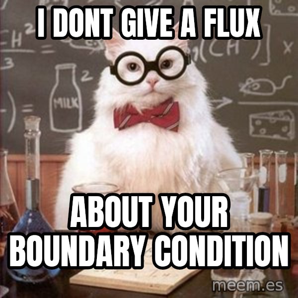 Chemistry Cat meme: I dont give a Flux / about your boundary condition