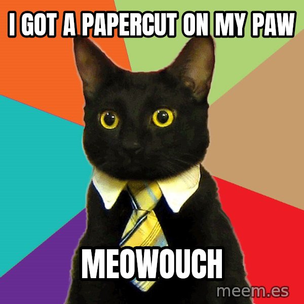 Business Cat meme: i got a papercut on my paw / Meowouch