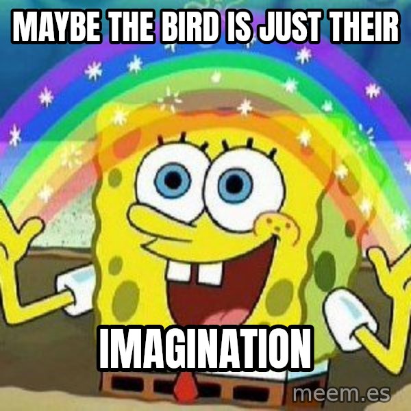 Imagination meme: maybe the bird is just their / imagination