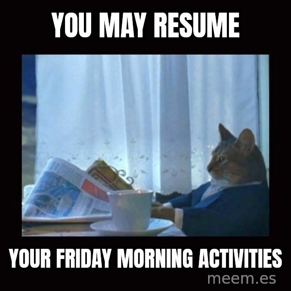 i should buy a boat cat meme: you may resume / your friday morning activities