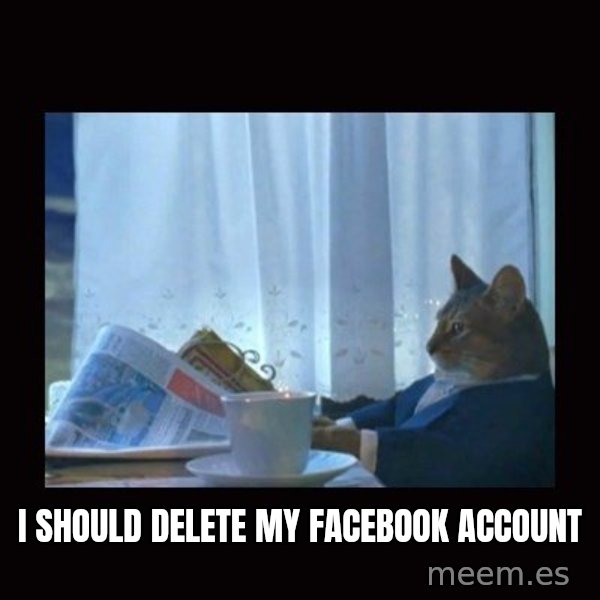 i should buy a boat cat meme: I Should Delete my Facebook Account