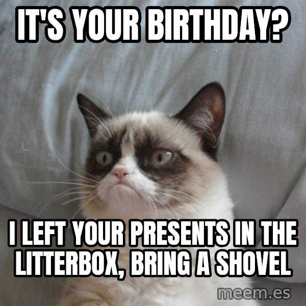 Grumpy cat good meme: it's your birthday? / I left your presents in the litterbox, bring a shovel