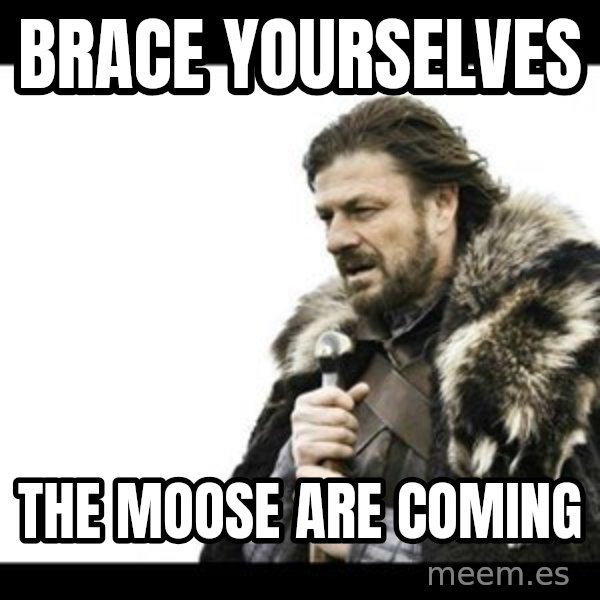 Winter is Coming meme: Brace Yourselves / The Moose Are Coming