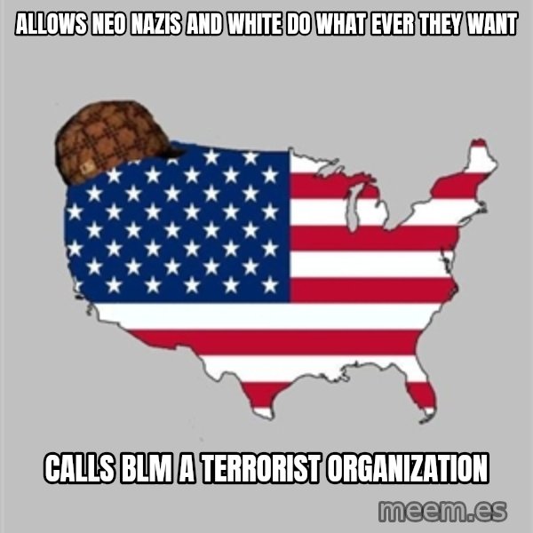 Scumbag America2 meme: Allows neo nazis and white do what ever they want / Calls BLM a terrorist organization
