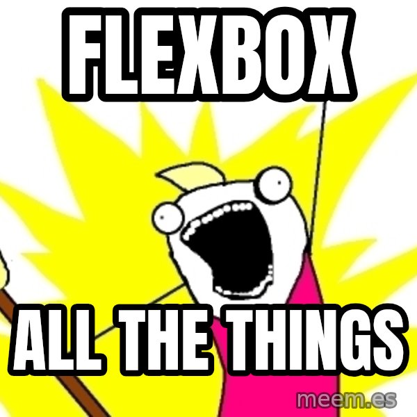 X ALL THE THINGS meme: FLEXBOX / ALL THE THINGS