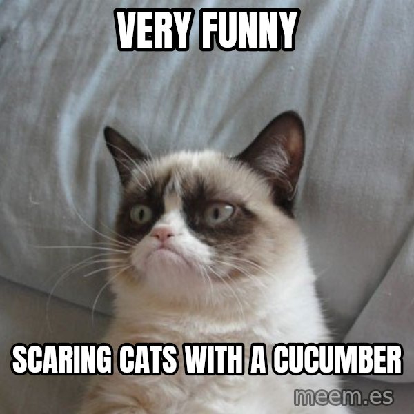 Grumpy cat good meme: very funny / scaring cats with a cucumber