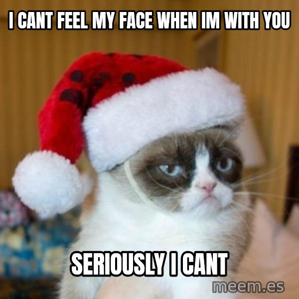 Grumpy Cat Santa Hat meme: i cant feel my face when im with you / seriously i cant