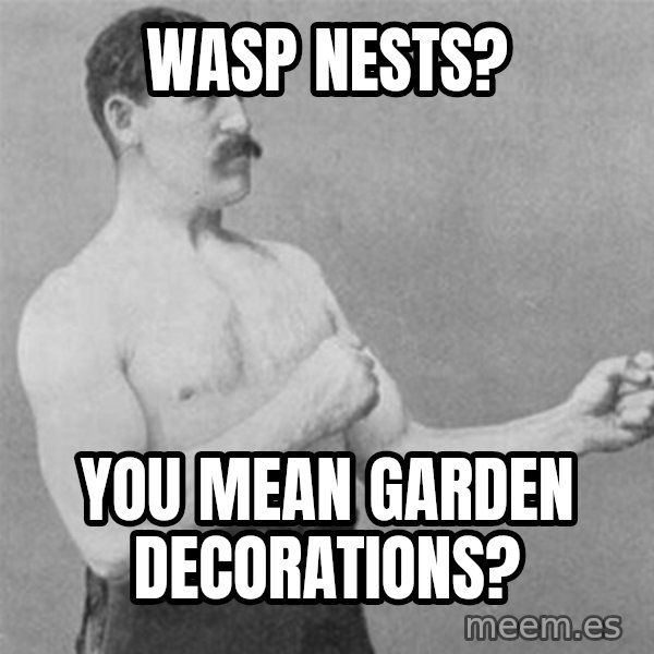 overly manlyman meme: wasp nests? / you mean garden decorations?