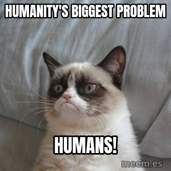 Grumpy cat good meme: Humanity's biggest  problem / HUMANS!