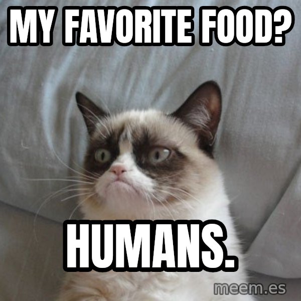 Grumpy cat good meme: MY FAVORITE FOOD? / HUMANS.