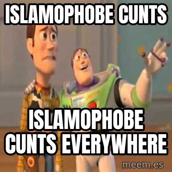 X, X Everywhere  meme: Islamophobe cunts / Islamophobe cunts everywhere