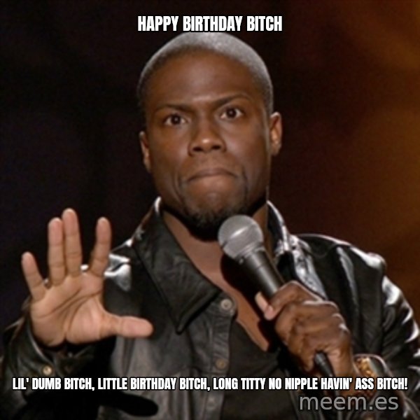 Kevin Hart meme: Happy Birthday Bitch / lil' dumb bitch, little birthday bitch, long titty no nipple havin' ass bitch!