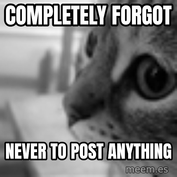 Sadcat meme: COMPLETELY FORGOT / never to post anything