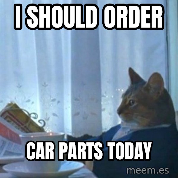 newspaper cat realization meme: I should order / car parts today
