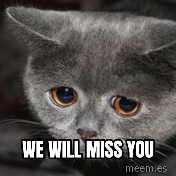 Sadcat meme: We will miss you